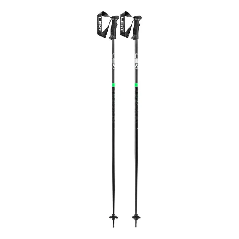 QNTM Ski Poles