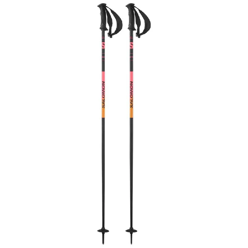 Shiva Ski Poles