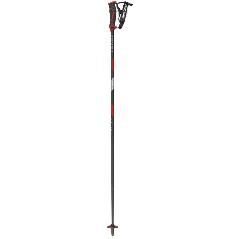 ST Carbon Ski Poles